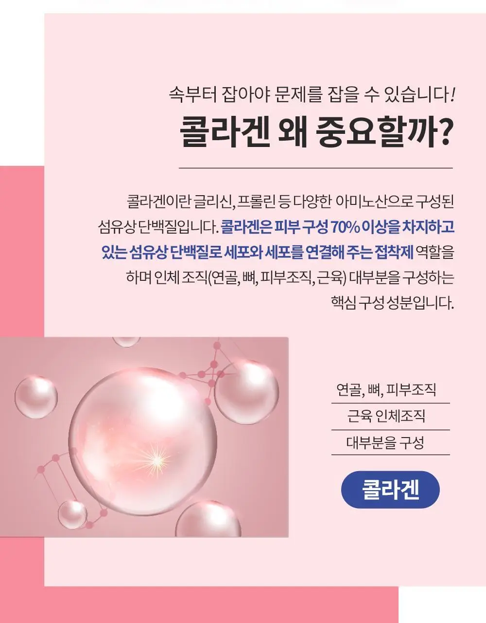 [고함량 콜라겐] 그린몬스터 프리미엄 콜라겐5000 15포 (15일분) 상세페이지 6